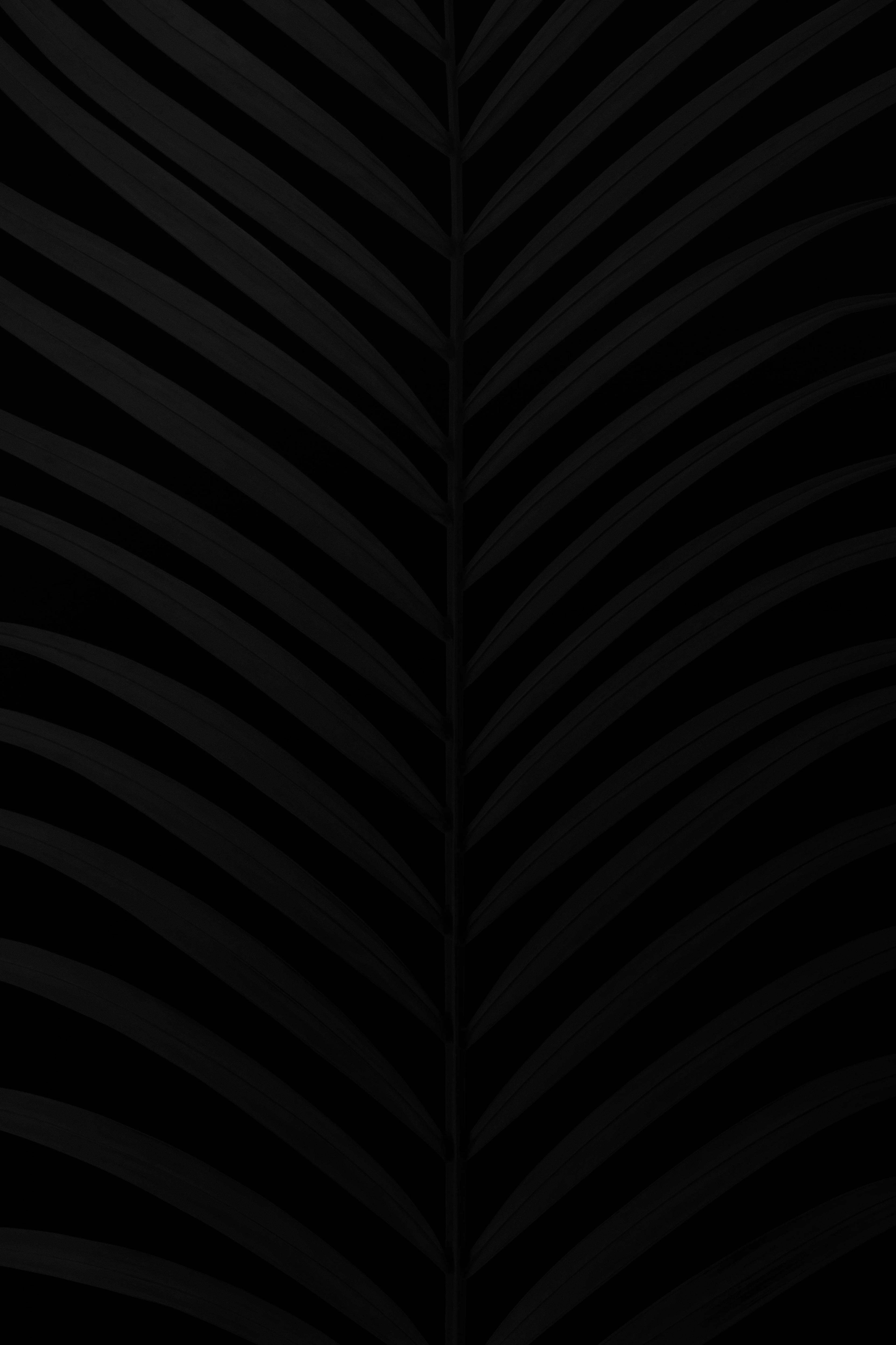 black abstract image