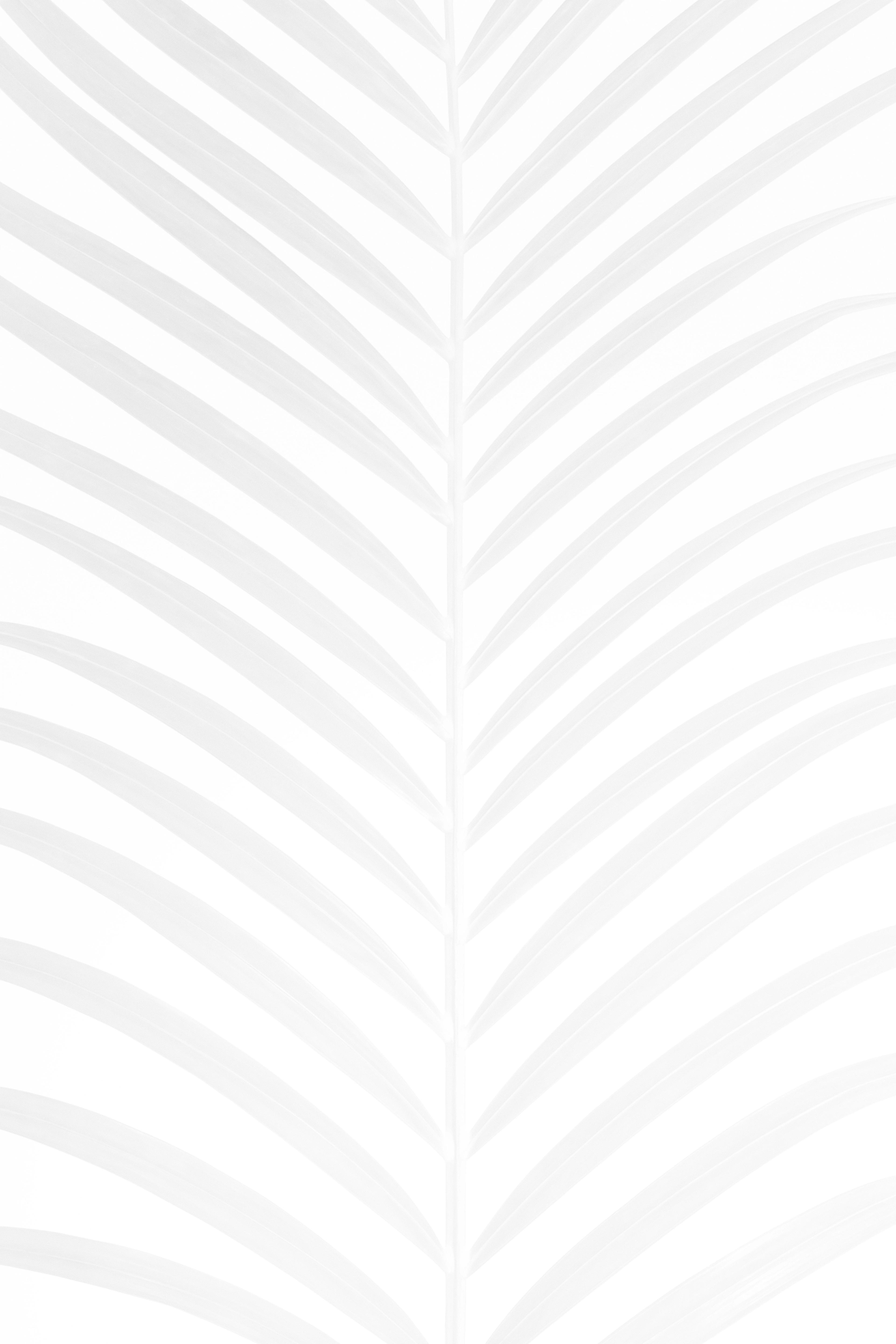 black abstract image